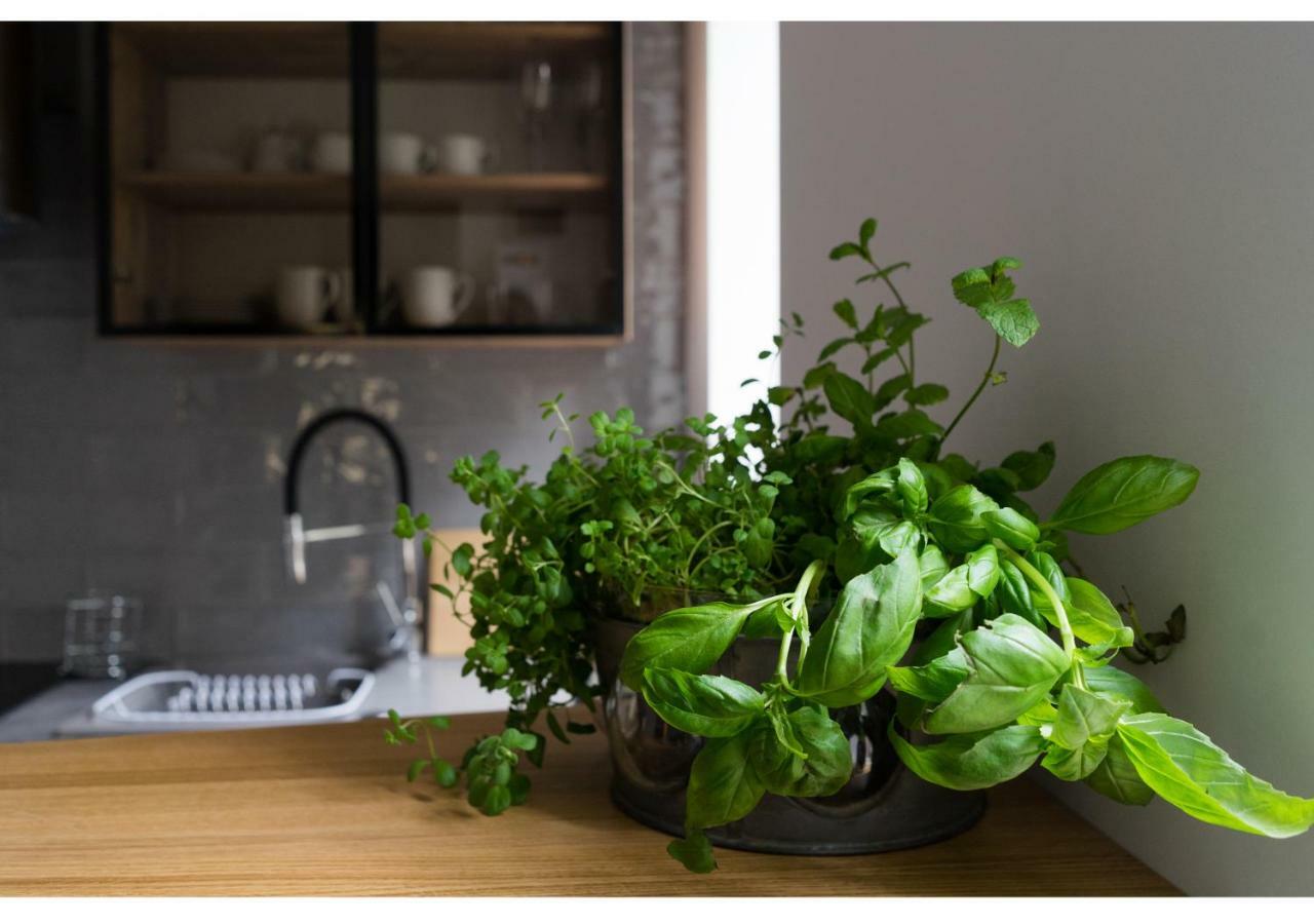 Gostynin Garden Apartment エクステリア 写真